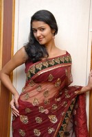Kousalya Saree Photos